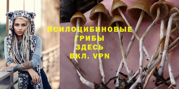 a pvp Верея