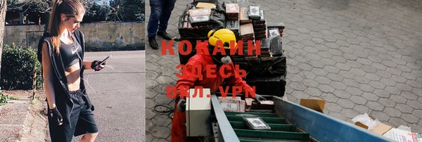 крисы Бронницы