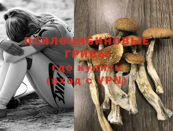 ешки Верхний Тагил